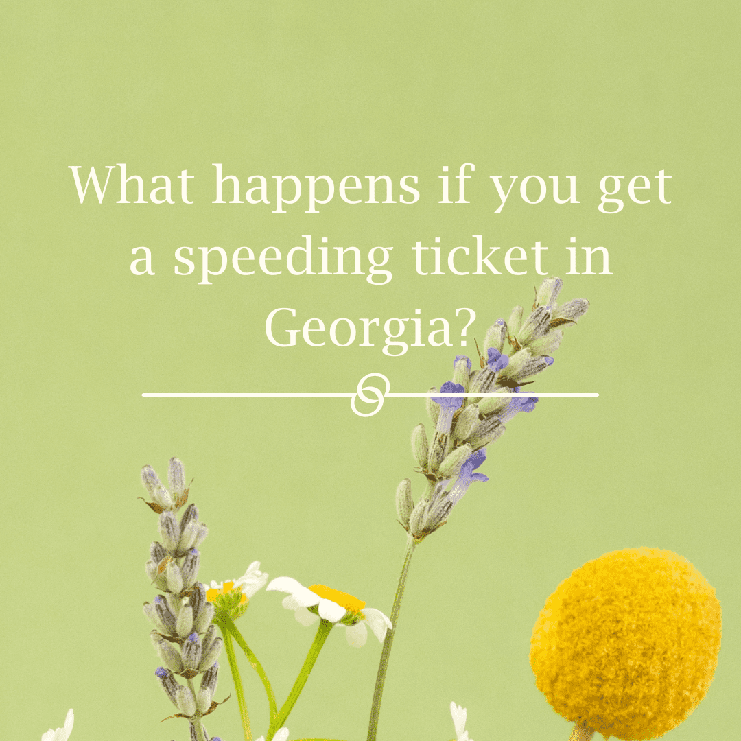 What happens if you get a speeding ticket in Georgia