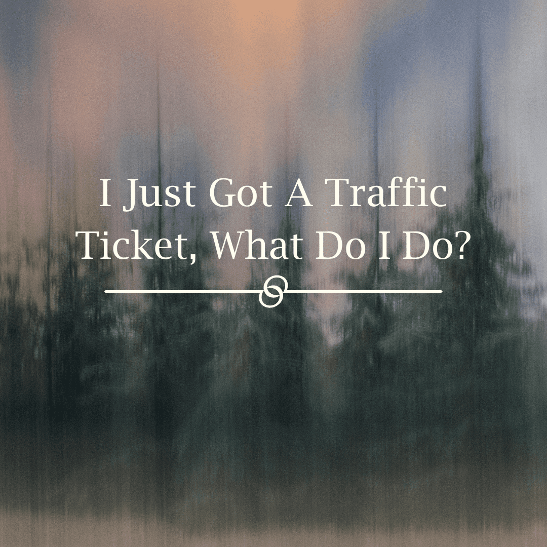 I Just Got A Traffic Ticket, What Do I Do