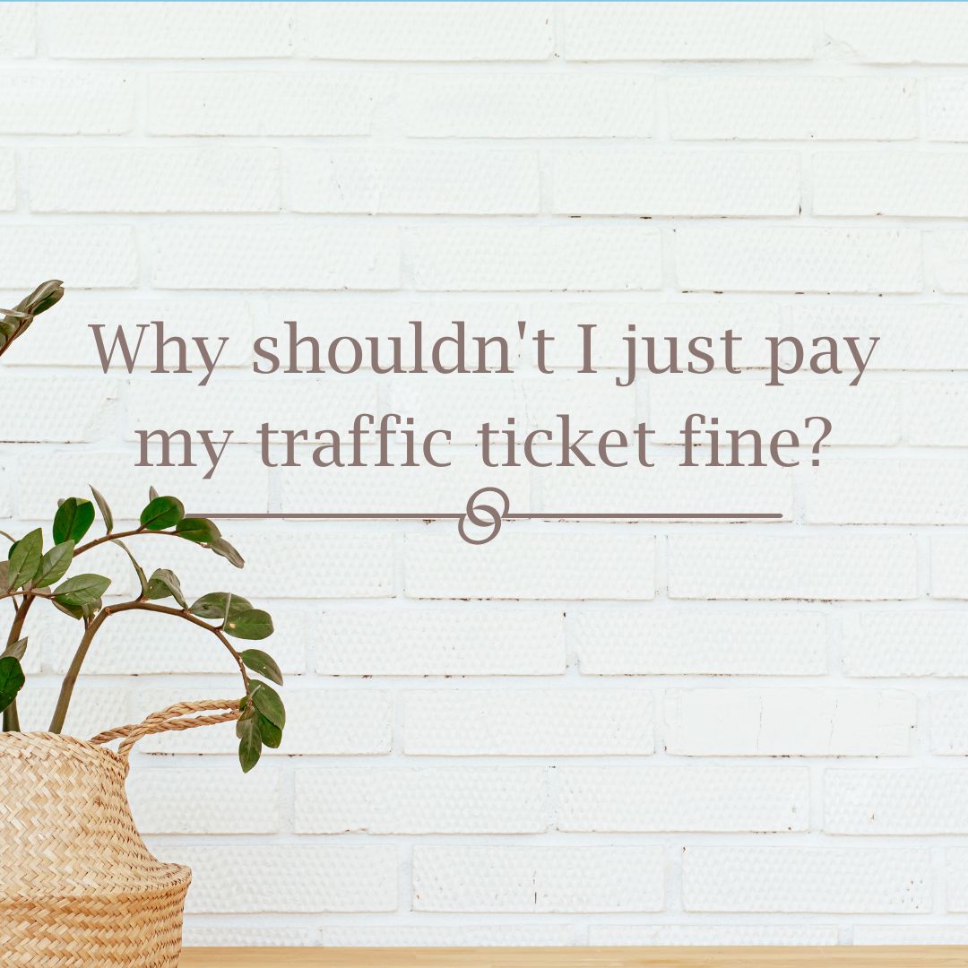 Featured image for “Why shouldn’t I just pay my traffic ticket fine?”